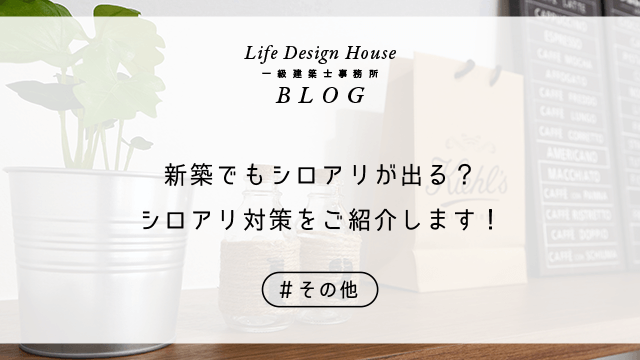 新築でもシロアリが出る？シロアリ対策をご紹介します！