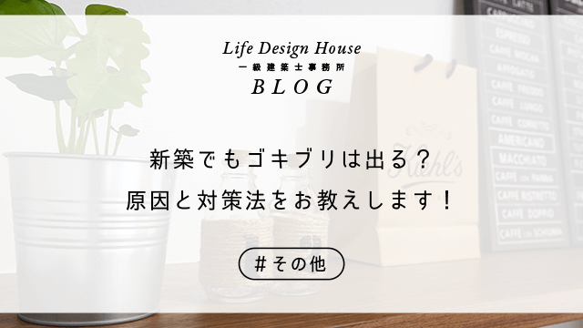新築でもゴキブリは出る?原因と対策法をお教えします!